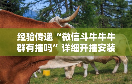 独家分析“喜扣跑胡子开挂效果如何	”分享用挂教程
