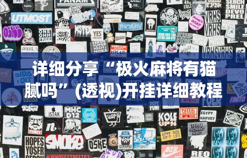 详细分享“极火麻将有猫腻吗	”(透视)开挂详细教程