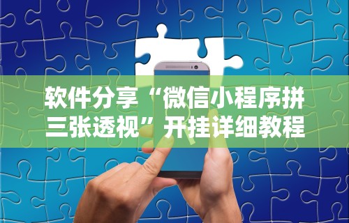 软件分享“微信小程序拼三张透视”开挂详细教程