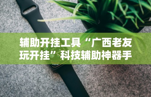 辅助开挂工具“广西老友玩开挂	”科技辅助神器手机版教程