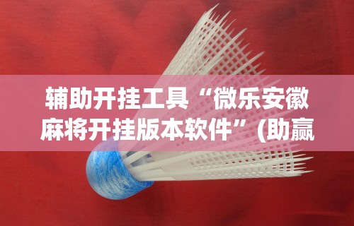 辅助开挂工具“微乐安徽麻将开挂版本软件	”(助赢详细开挂教程)