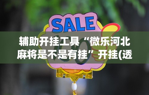 辅助开挂工具“微乐河北麻将是不是有挂”开挂(透视)辅助教程