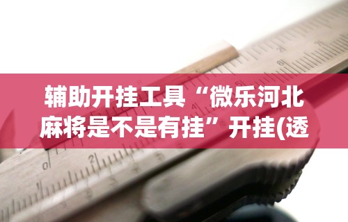 辅助开挂工具“微乐河北麻将是不是有挂”开挂(透视)辅助教程