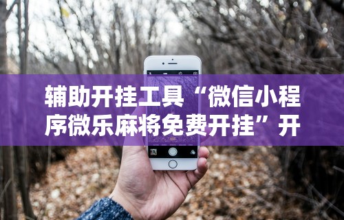 辅助开挂工具“微信小程序微乐麻将免费开挂”开挂辅助详细步骤