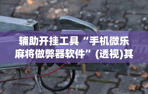 玩家必备攻略!卡丁娱乐辅助器试用版”附开挂脚本详细步骤
