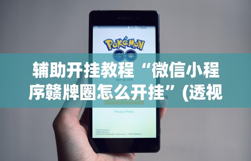 辅助开挂教程“微信小程序赣牌圈怎么开挂”(透视挂)详细用法教程