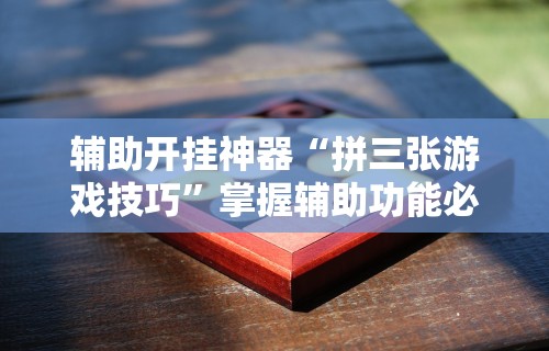 [教程经验]“壹柒十三张可以开挂吗”分享必要外挂教程