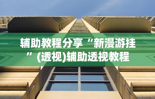 辅助教程分享“新漫游挂	”(透视)辅助透视教程