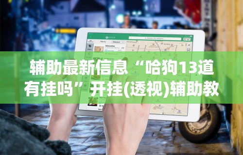 辅助最新信息“哈狗13道有挂吗”开挂(透视)辅助教程