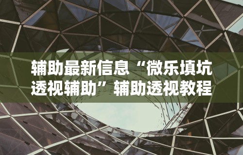 辅助最新信息“微乐填坑透视辅助	”辅助透视教程