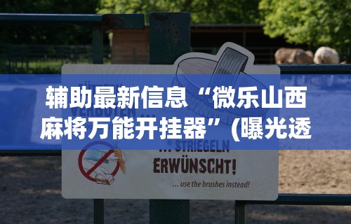 辅助最新信息“微乐山西麻将万能开挂器	”(曝光透视必备猫腻)
