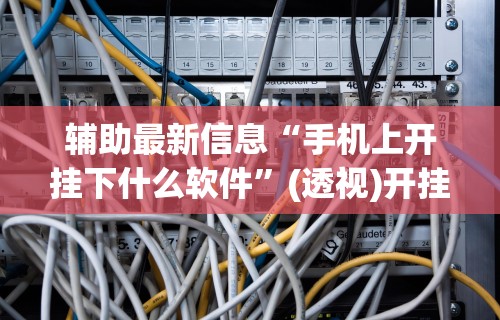 辅助最新信息“手机上开挂下什么软件”(透视)开挂辅助脚本+详细开挂安装教程