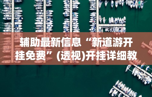辅助最新信息“新道游开挂免费”(透视)开挂详细教程