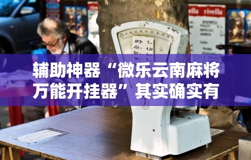 辅助神器“微乐云南麻将万能开挂器	”其实确实有挂