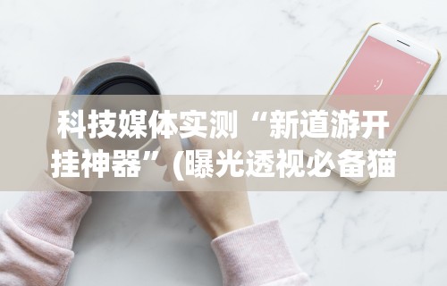 科技媒体实测“新道游开挂神器	”(曝光透视必备猫腻)