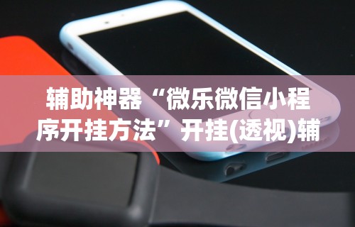 辅助神器“微乐微信小程序开挂方法”开挂(透视)辅助神器