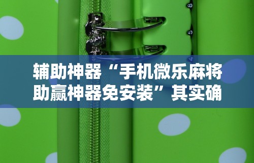 辅助神器“手机微乐麻将助赢神器免安装	”其实确实有挂