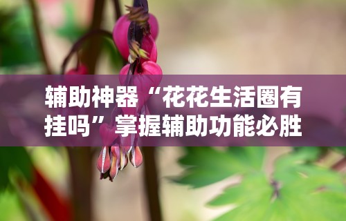 3分钟学会“海讯河源麻将和平神器”可以开挂作弊