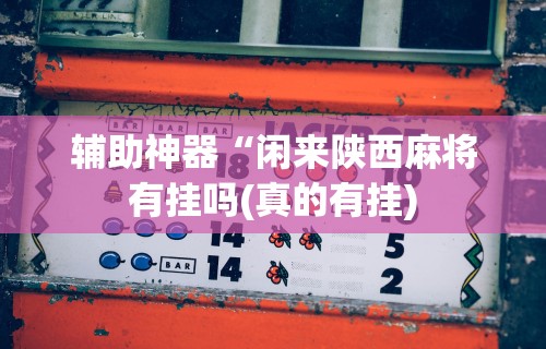 辅助神器“闲来陕西麻将有挂吗(真的有挂) 辅助神器“闲来陕西麻将有挂吗(真的有挂)
