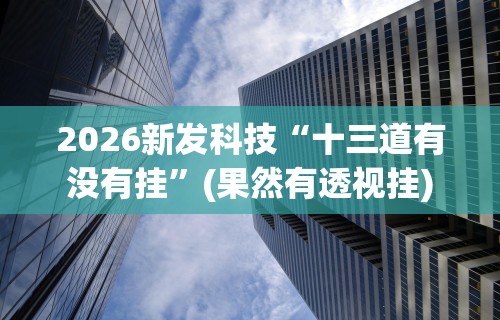 2026新发科技“十三道有没有挂”(果然有透视挂)