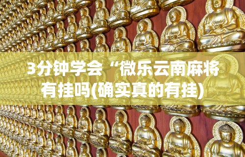 3分钟学会“微乐云南麻将有挂吗(确实真的有挂)