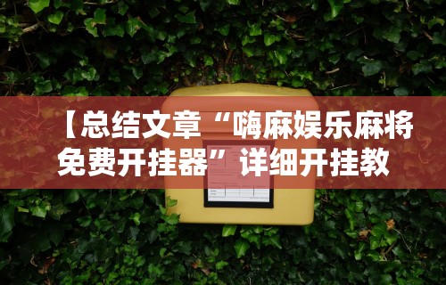【总结文章“嗨麻娱乐麻将免费开挂器”详细开挂教程