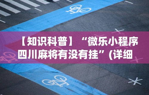 2026最新一代“十三张辅助器ios”附开挂脚本详细步骤