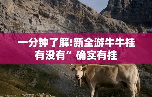 4分钟了解“微乐河北麻将助赢神器购买”能不能开挂!