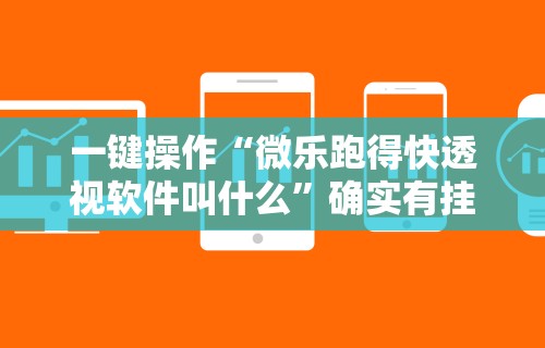 秒懂经验“喜乐填大坑挂”(果然有透视挂)