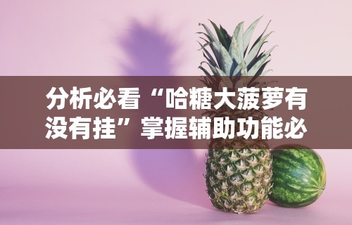 分析必看“哈糖大菠萝有没有挂”掌握辅助功能必胜规则