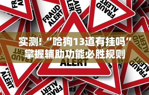实测!“哈狗13道有挂吗”掌握辅助功能必胜规则