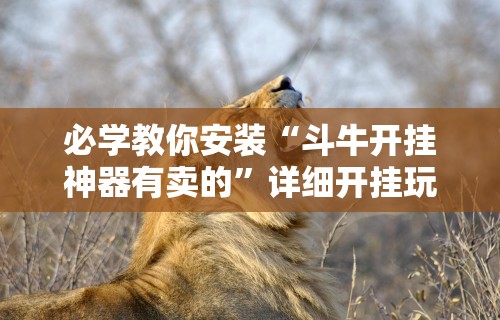 必学教你安装“斗牛开挂神器有卖的”详细开挂玩法
