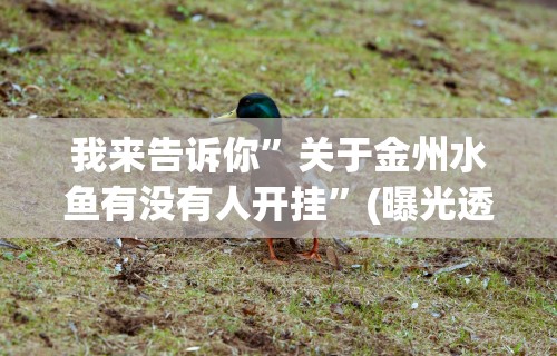 我来告诉你	”关于金州水鱼有没有人开挂”(曝光透视必备猫腻)