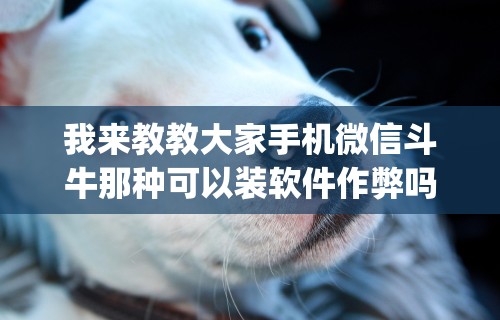 3分钟教程“微乐麻将万能开挂器是真的吗”开挂科技辅助神器手机