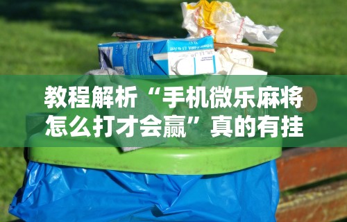 教程解析“手机微乐麻将怎么打才会赢”真的有挂