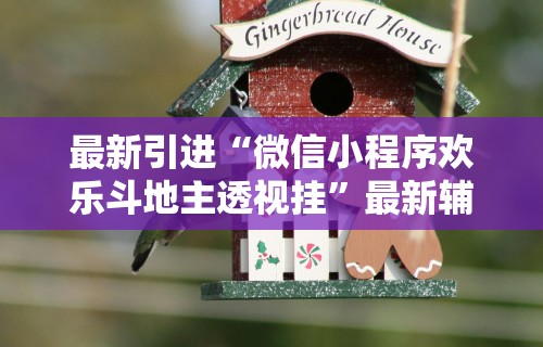【玩家必看】“微乐麻将万能挂”作弊(透视)透视辅助