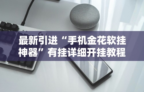 最新引进“手机金花软挂神器”有挂详细开挂教程