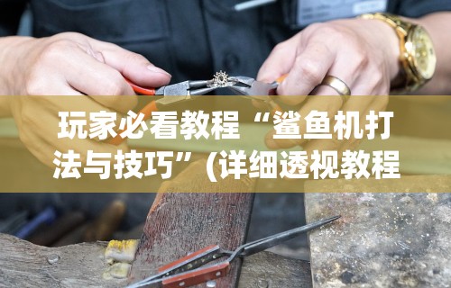 玩家必看教程“鲨鱼机打法与技巧”(详细透视教程)