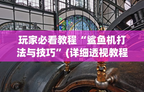 玩家必看教程“鲨鱼机打法与技巧”(详细透视教程)