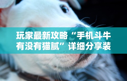 【盘点十款】“微信大厅斗牛开挂安装软件”掌握辅助功能必胜规则
