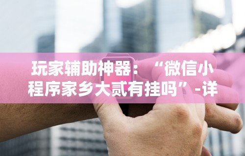 玩家辅助神器：“微信小程序家乡大贰有挂吗”-详细教程