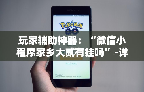 玩家辅助神器：“微信小程序家乡大贰有挂吗	”-详细教程
