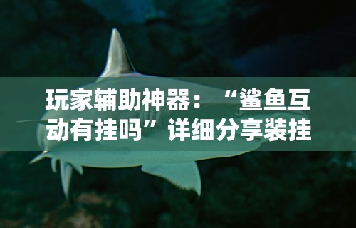 玩家辅助神器：“鲨鱼互动有挂吗	”详细分享装挂步骤教程