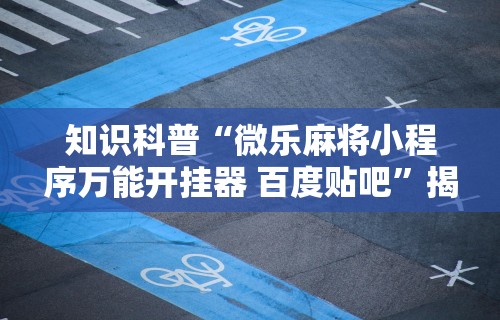 【揭秘一下】“新青鸟大厅万能开挂器”开挂辅助脚本+详细开挂