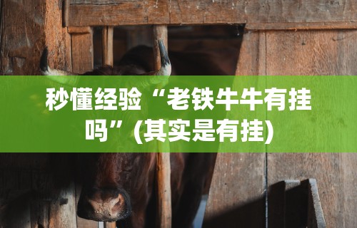 秒懂经验“老铁牛牛有挂吗”(其实是有挂)