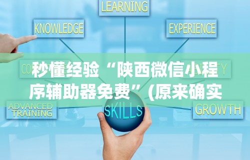秒懂经验“陕西微信小程序辅助器免费”(原来确实是有挂)