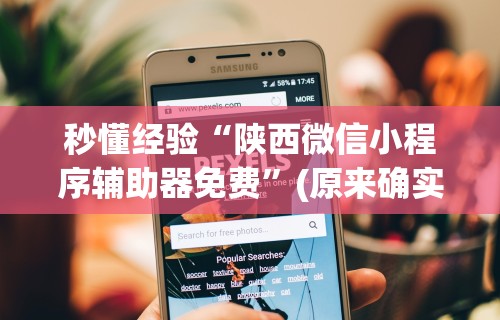 秒懂经验“陕西微信小程序辅助器免费”(原来确实是有挂)