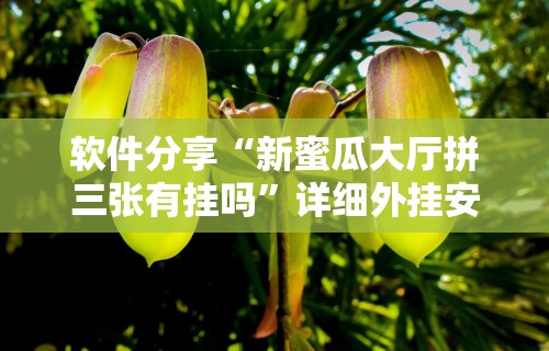 软件分享“新蜜瓜大厅拼三张有挂吗”详细外挂安装步骤