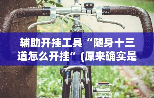 辅助开挂工具“随身十三道怎么开挂”(原来确实是有挂)