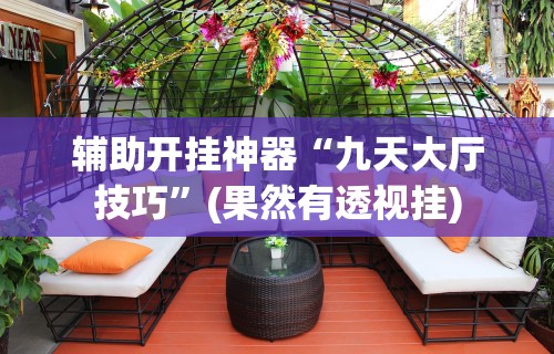 辅助开挂神器“九天大厅技巧”(果然有透视挂)